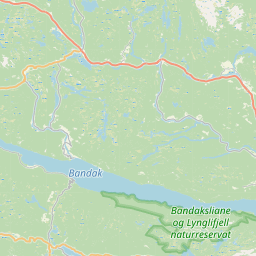 SW map tile