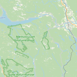 SW map tile