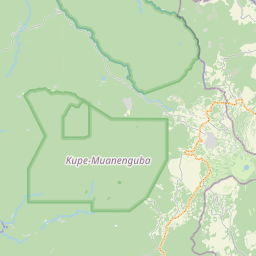 SW map tile