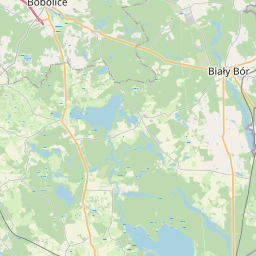 SW map tile