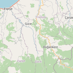 SW map tile