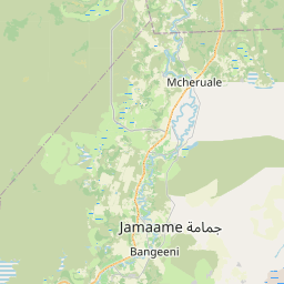 SW map tile