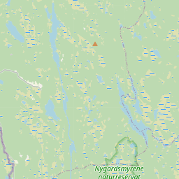 SW map tile