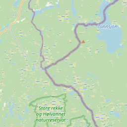 SW map tile
