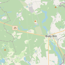 SW map tile