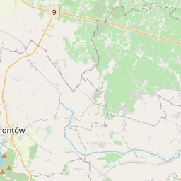 SW map tile