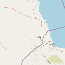 SW map tile